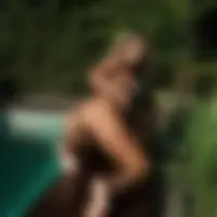Evelyn, 38