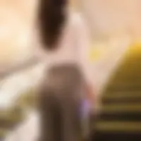Fei, 34
